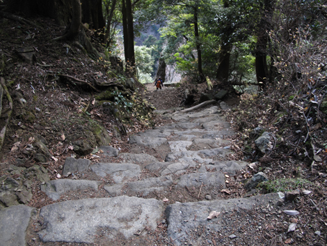 20151228hike (335)